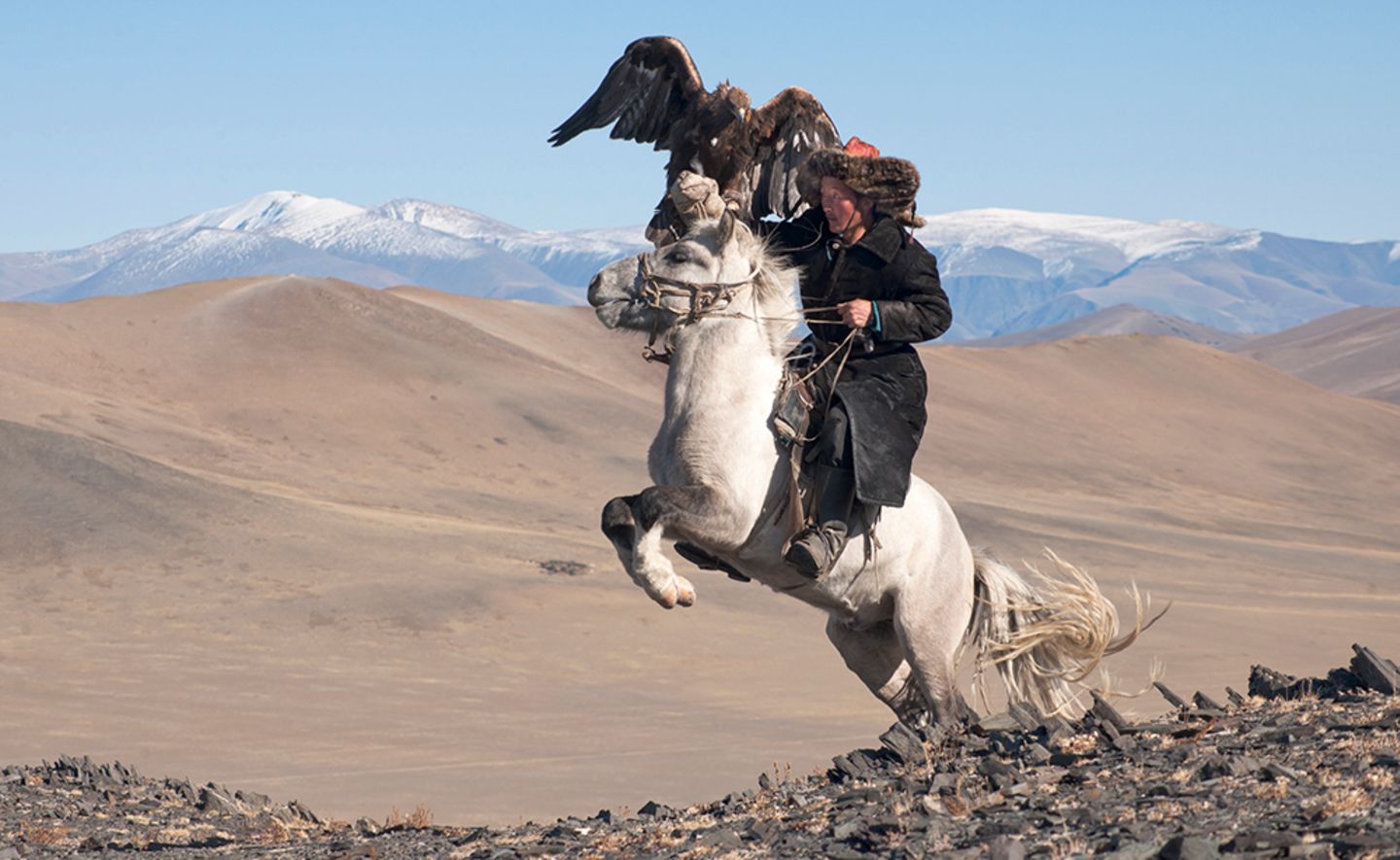 White Pegasus study I, Deloun Highlands, Olgii Province, Mongolia, 2010