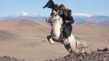 White Pegasus study I, Deloun Highlands, Olgii Province, Mongolia, 2010