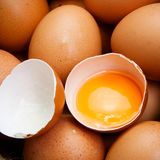 Vitamin K: Eigelb und Käse