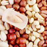 Niacin ist in Nüssen enthalten