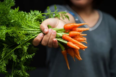 Bund Möhren in der Hand