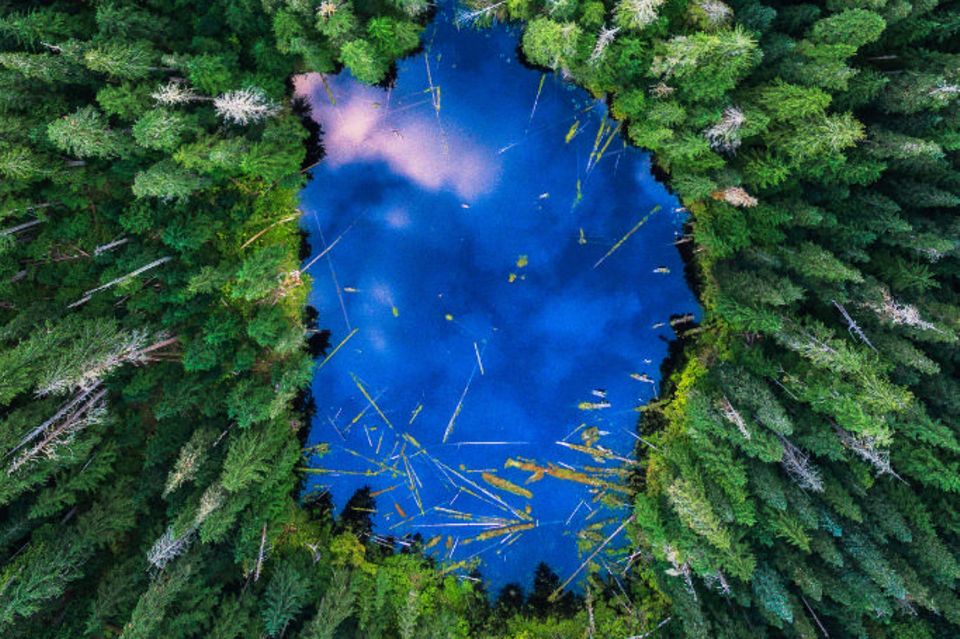 Michael Matti / SkyPixel