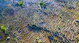 225158586 / SkyPixel