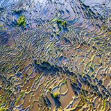 225158586 / SkyPixel