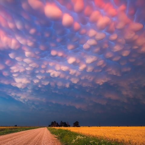 Stormchasing