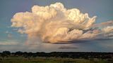 Stormchasing