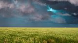 Stormchasing