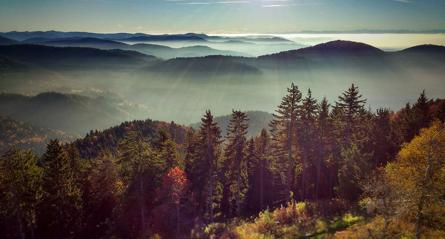 Hochblauen