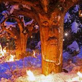 Waldweihnacht Schweinhütt