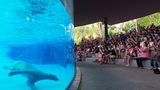 Singapur Zoo
