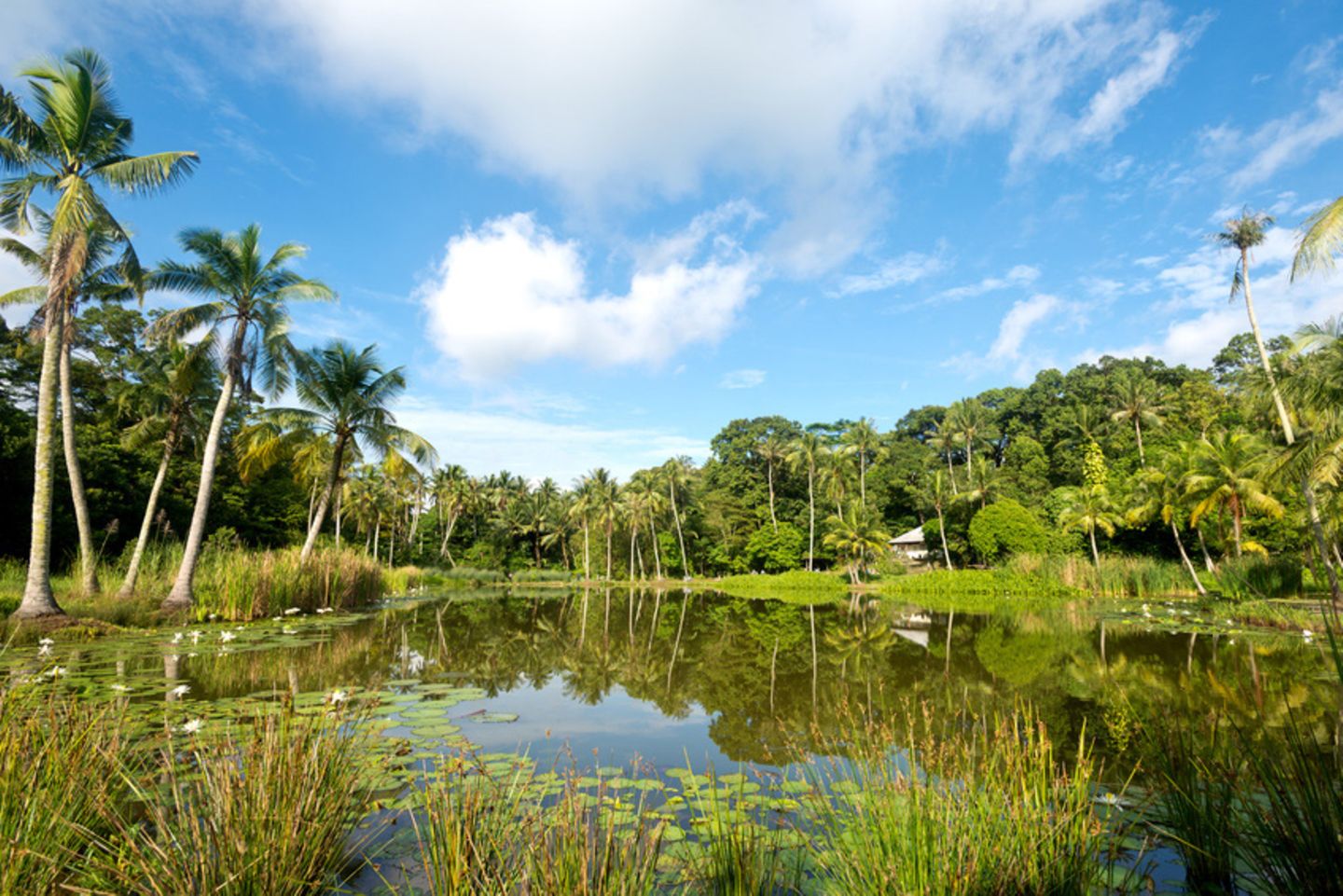 Pulau Ubin