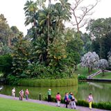 Botanischer Garten, Singapur
