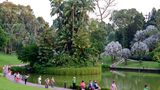 Botanischer Garten, Singapur