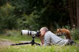 Fuchs steht auf dem Rücken des Fotografen