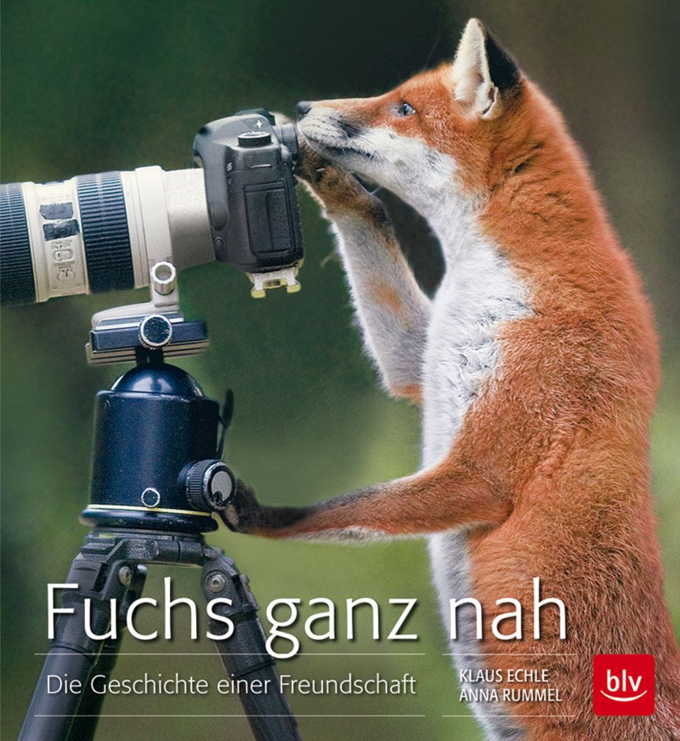 Cover: Fuchs ganz nah - Geschichte einer Freundschaft