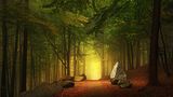 Oberpfaelzer Wald -Tännesberg-Waldweg im Kohlbuchs