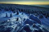 Wolfswarte im Harz