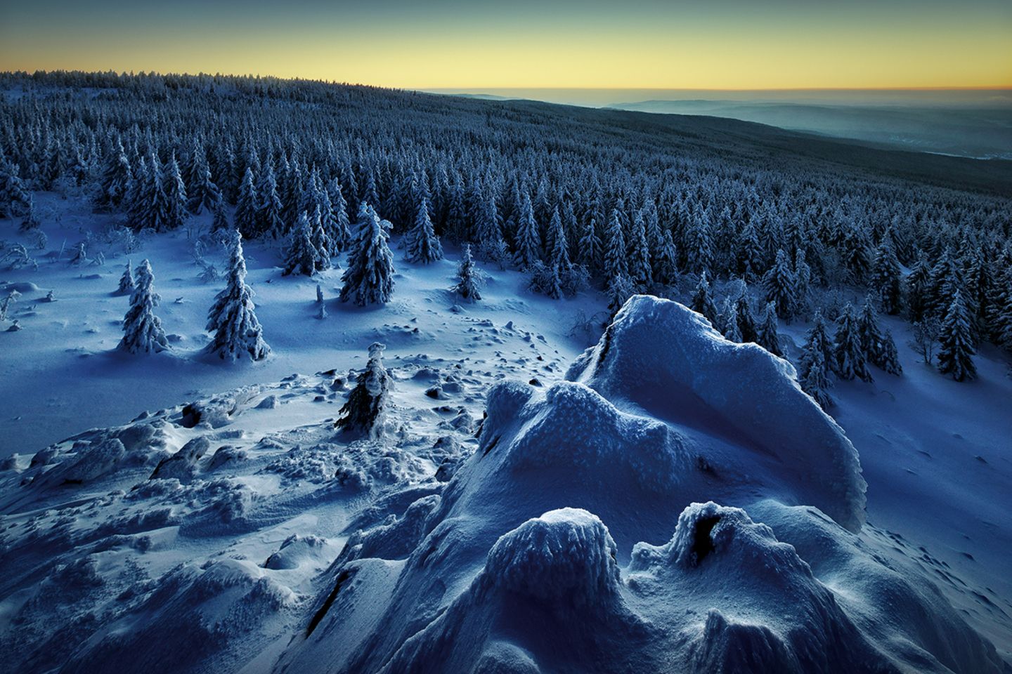 Wolfswarte im Harz