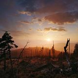 Bayerischer Wald, Grenzkamm am Dreiländereck