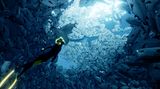 Taucherin Abzu im Fischschwarm
