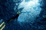 Taucherin Abzu im Fischschwarm