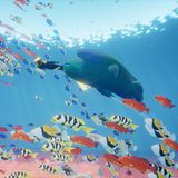 Taucherin Abzu im Ozean im Fischschwarm