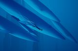 Abzu taucht mit Walen