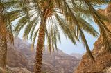 Wadi Shab im Oman