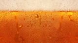 Bier
