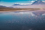 Lake Natron Tanzania