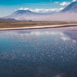 Lake Natron Tanzania