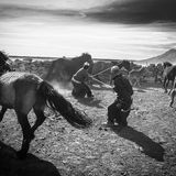 Bayankhongor, Mongolia