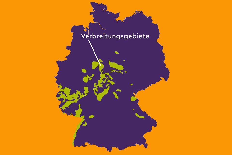 Verbreitungsgebiet der Wildkatzen in Deutschland Verbreitungsgebiet der Wildkatzen in Deutschland