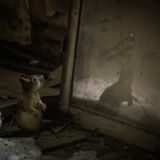 Das Eichhörnchen entdeckt sich im Spiegel