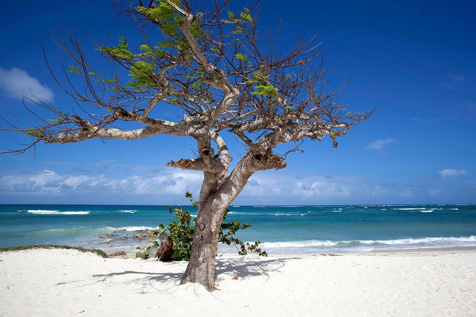 Playa Guardalavaca, Kuba Playa Guardalavaca, Kuba