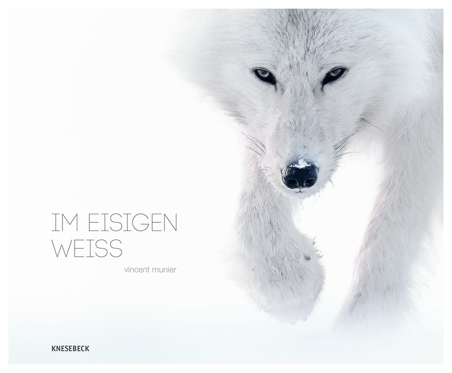 IM EISIGEN WEISS - Vincent Munier
