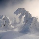 Brocken, Harz, Sachsen-Anhalt, Deutschland