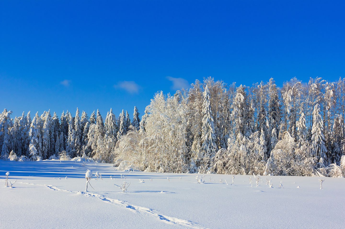 Schneebedeckte Landschaft im Winter