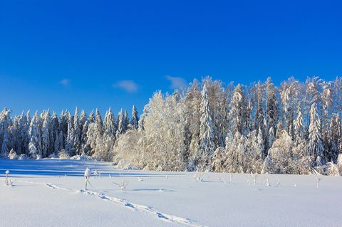 Schneebedeckte Landschaft im Winter