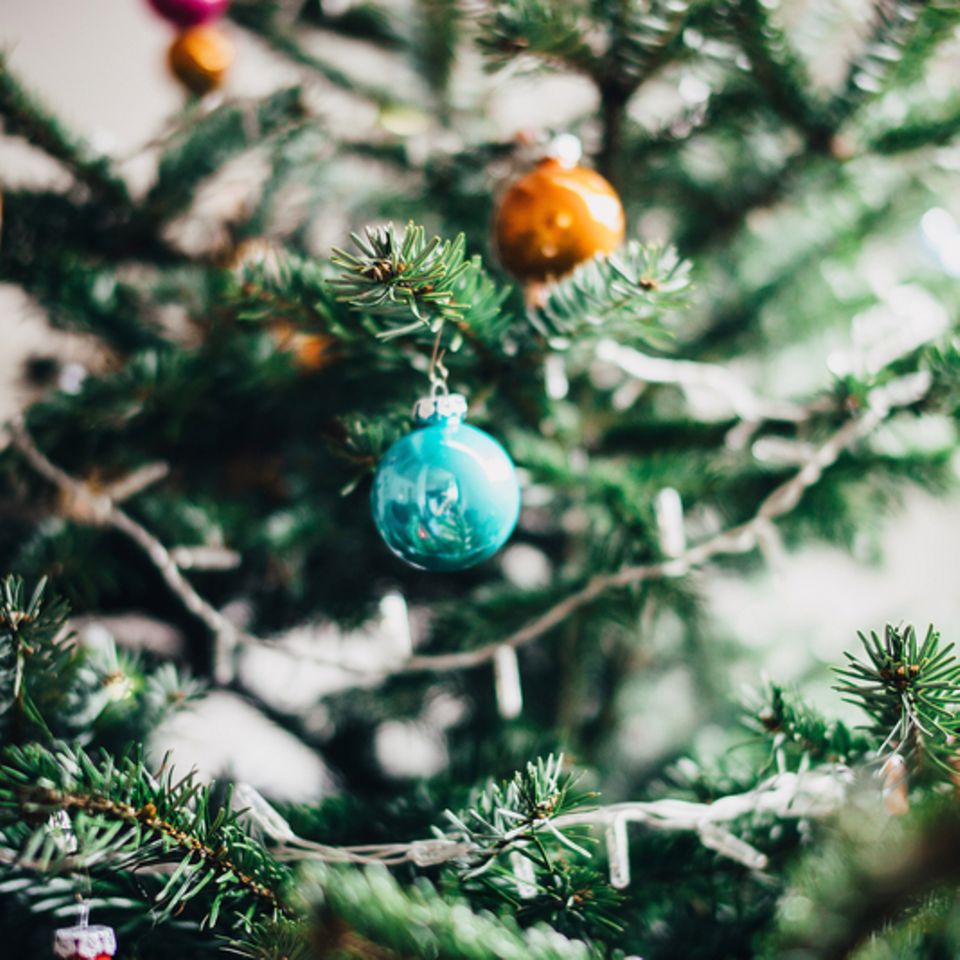 Weihnachtsbaum