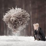 Little Kids And Their Big Dogs