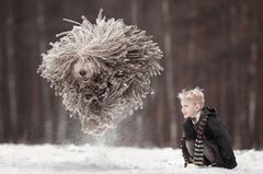 Little Kids And Their Big Dogs
