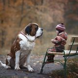 Little Kids And Their Big Dogs