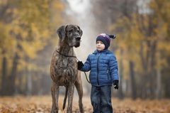 Andy Seliverstoff, Little Kids And Their Big Dogs