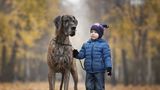 Andy Seliverstoff, Little Kids And Their Big Dogs