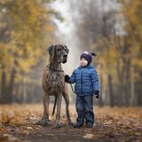 Andy Seliverstoff, Little Kids And Their Big Dogs