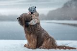 Andy Seliverstoff, Little Kids And Their Big Dogs