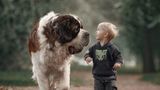 Andy Seliverstoff, Little Kids And Their Big Dogs