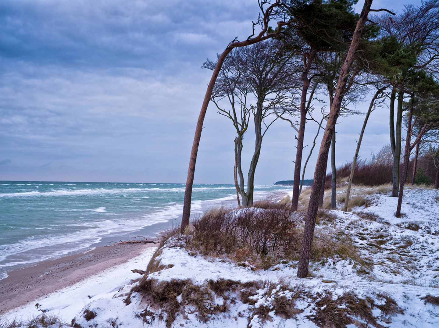 Wintertag am Darsser Weststrand,