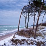 Wintertag am Darsser Weststrand,